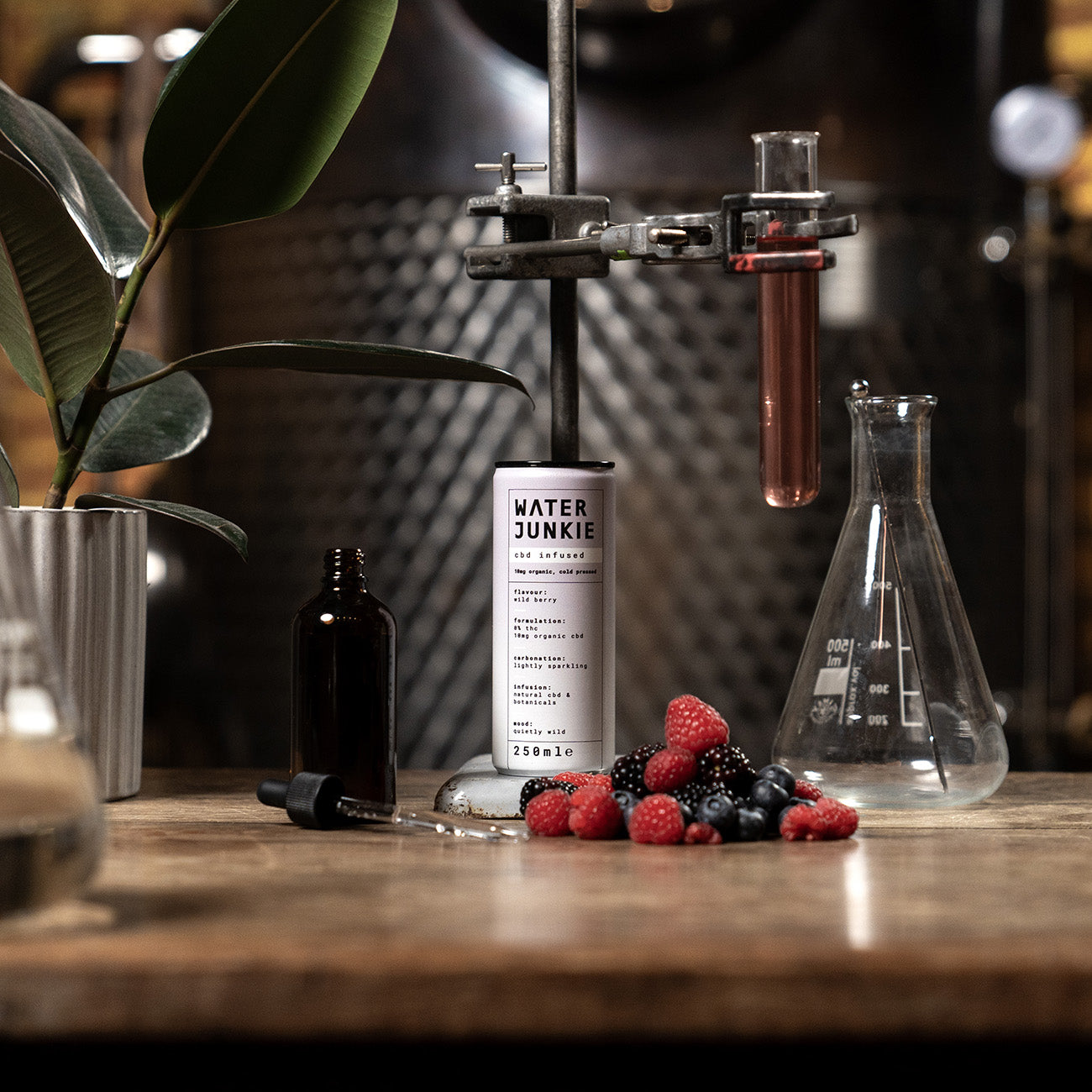 Water Junkie wild berry can sitting on wooden table with science equipment, next to a pile of raspberries, blueberries and blackberries.