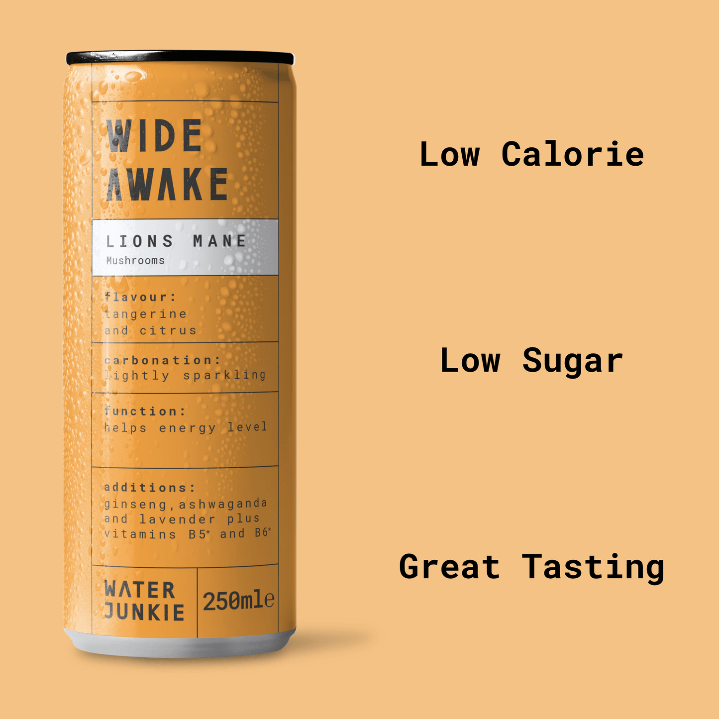 A front view of the 'Wide Awake' Lions Mane drink with product benefits listed alongside the can