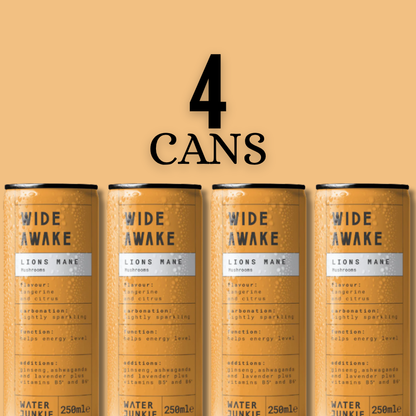 WaterJunkie Sparkling Drinks Bundle – Wide Awake Focus, Feel Alive Vitality & Dream Calm – Mixed  Pack | Lion’s Mane, Chaga & Reishi | No Sugar, Low Calorie, Vegan