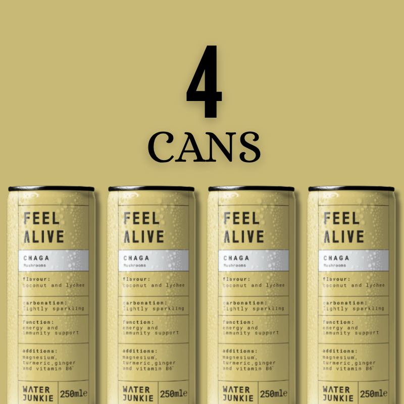 WaterJunkie Sparkling Drinks Bundle – Wide Awake Focus, Feel Alive Vitality & Dream Calm – Mixed  Pack | Lion’s Mane, Chaga & Reishi | No Sugar, Low Calorie, Vegan