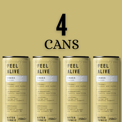 WaterJunkie Sparkling Drinks Bundle – Wide Awake Focus, Feel Alive Vitality & Dream Calm – Mixed  Pack | Lion’s Mane, Chaga & Reishi | No Sugar, Low Calorie, Vegan