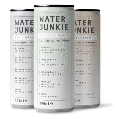 Water Junkie Wild Berry x 12