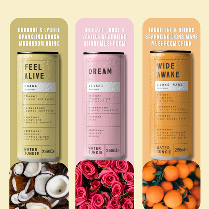 WaterJunkie Sparkling Drinks Bundle – Wide Awake Focus, Feel Alive Vitality & Dream Calm – Mixed  Pack | Lion’s Mane, Chaga & Reishi | No Sugar, Low Calorie, Vegan