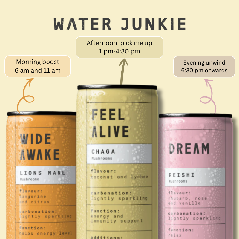 WaterJunkie Sparkling Drinks Bundle – Wide Awake Focus, Feel Alive Vitality & Dream Calm – Mixed  Pack | Lion’s Mane, Chaga & Reishi | No Sugar, Low Calorie, Vegan