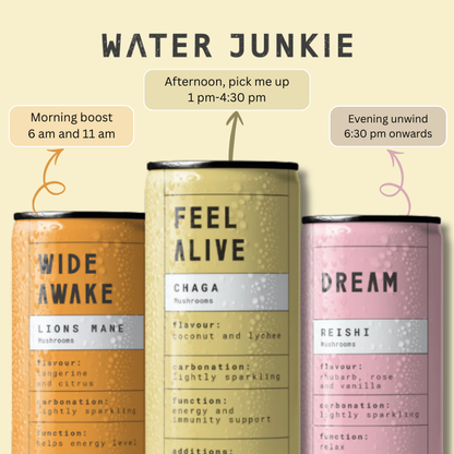 WaterJunkie Sparkling Drinks Bundle – Wide Awake Focus, Feel Alive Vitality & Dream Calm – Mixed  Pack | Lion’s Mane, Chaga & Reishi | No Sugar, Low Calorie, Vegan